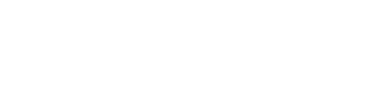 Roshani Hydraulic Engineering Works